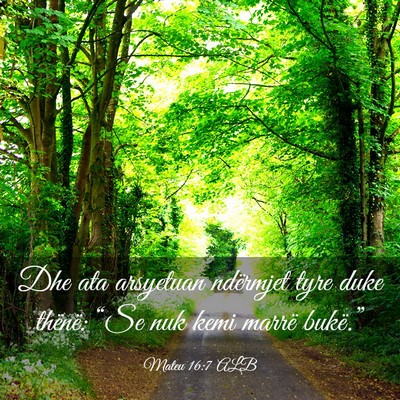 Picture 03 - Mateu 16:7 ALB - Dhe ata arsyetuan ndërmjet tyre duke thënë: - Bible Verse Picture