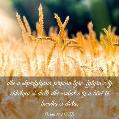 Picture 03 - Mateu 17:2 ALB - dhe u shpërfytyrua përpara tyre: fytyra e tij - Bible Verse Picture