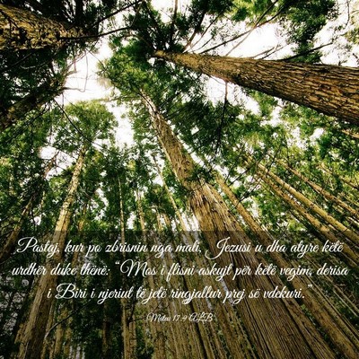 Picture 03 - Mateu 17:9 ALB - Pastaj, kur po zbrisnin nga mali, Jezusi u dha - Bible Verse Picture