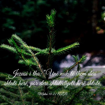 Picture 03 - Mateu 18:22 ALB - Jezusi i tha: “Unë nuk të them deri shtatë - Bible Verse Picture