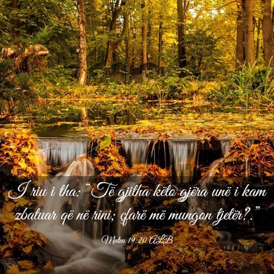 Picture 03 - Mateu 19:20 ALB - I riu i tha: “Të gjitha këto gjëra unë i - Bible Verse Picture