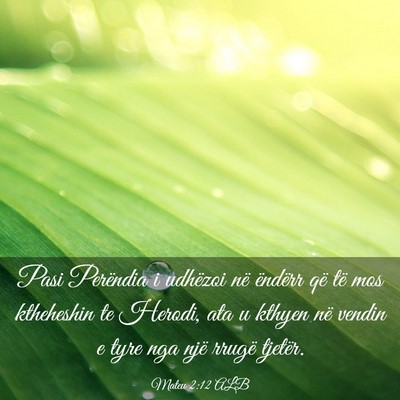 Picture 03 - Mateu 2:12 ALB - Pasi Perëndia i udhëzoi në ëndërr që të - Bible Verse Picture