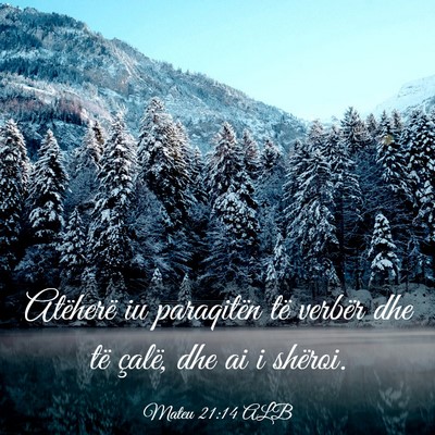 Picture 03 - Mateu 21:14 ALB - Atëherë iu paraqitën të verbër dhe të - Bible Verse Picture