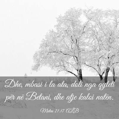 Picture 03 - Mateu 21:17 ALB - Dhe, mbasi i la ata, doli nga qyteti për në - Bible Verse Picture