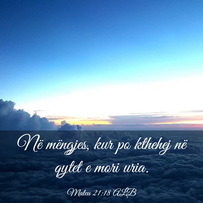 Picture 03 - Mateu 21:18 ALB - Në mëngjes, kur po kthehej në qytet e mori - Bible Verse Picture