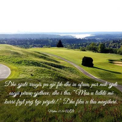 Picture 03 - Mateu 21:19 ALB - Dhe gjatë rrugës pa një fik dhe iu afrua, por - Bible Verse Picture