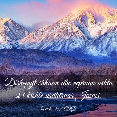 Picture 03 - Mateu 21:6 ALB - Dishepujt shkuan dhe vepruan ashtu si i kishte - Bible Verse Picture
