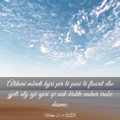Picture 03 - Mateu 22:11 ALB - Atëherë mbreti hyri për të parë të ftuarit - Bible Verse Picture