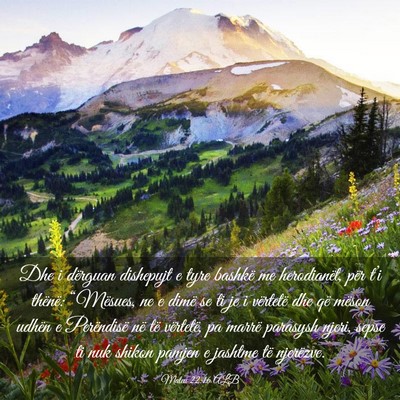 Picture 03 - Mateu 22:16 ALB - Dhe i dërguan dishepujt e tyre bashkë me - Bible Verse Picture