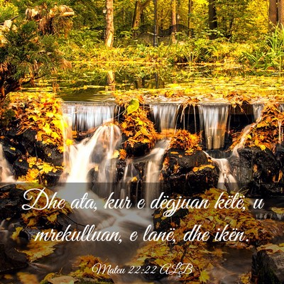 Picture 03 - Mateu 22:22 ALB - Dhe ata, kur e dëgjuan këtë, u mrekulluan, e - Bible Verse Picture
