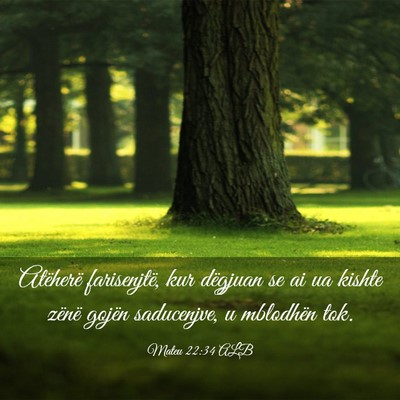 Picture 03 - Mateu 22:34 ALB - Atëherë farisenjtë, kur dëgjuan se ai ua - Bible Verse Picture