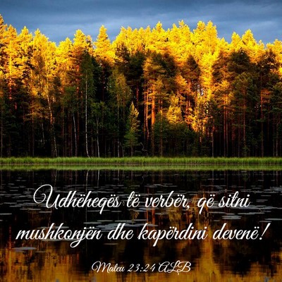 Picture 03 - Mateu 23:24 ALB - Udhëheqës të verbër, që sitni mushkonjën - Bible Verse Picture