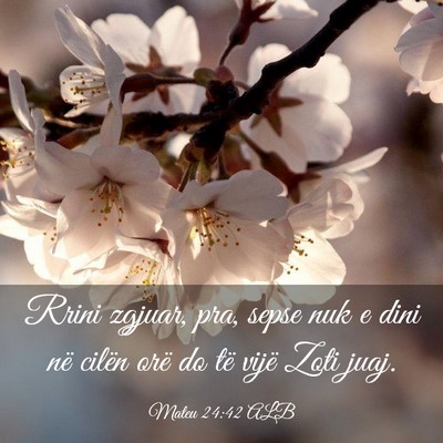 Picture 03 - Mateu 24:42 ALB - Rrini zgjuar, pra, sepse nuk e dini në cilën - Bible Verse Picture