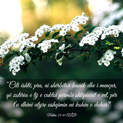 Picture 03 - Mateu 24:45 ALB - “Cili është, pra, ai shërbëtor besnik dhe i - Bible Verse Picture