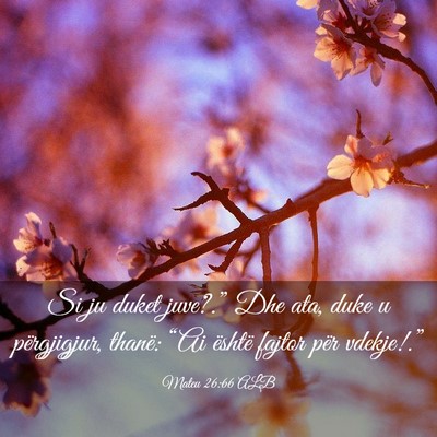 Picture 03 - Mateu 26:66 ALB - Si ju duket juve?.” Dhe ata, duke u - Bible Verse Picture