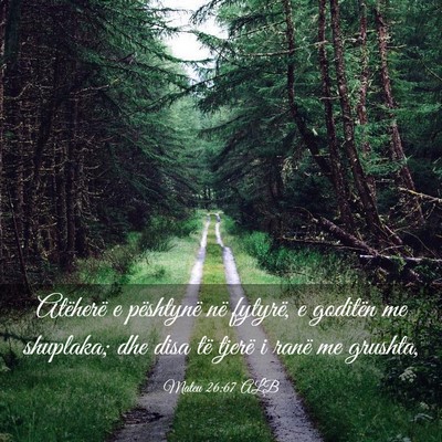 Picture 03 - Mateu 26:67 ALB - Atëherë e pështynë në fytyrë, e goditën me - Bible Verse Picture