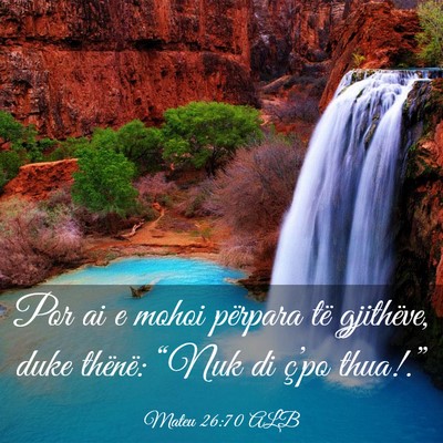 Picture 03 - Mateu 26:70 ALB - Por ai e mohoi përpara të gjithëve, duke - Bible Verse Picture