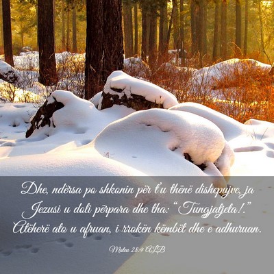 Picture 03 - Mateu 28:9 ALB - Dhe, ndërsa po shkonin për t’u thënë - Bible Verse Picture