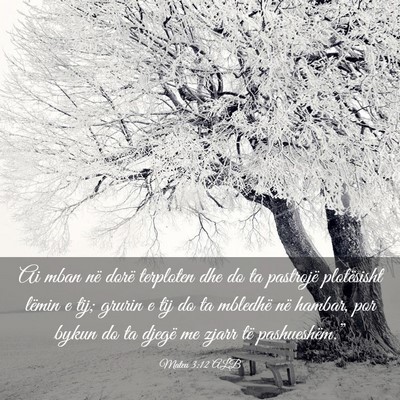 Picture 03 - Mateu 3:12 ALB - Ai mban në dorë terploten dhe do ta pastrojë - Bible Verse Picture