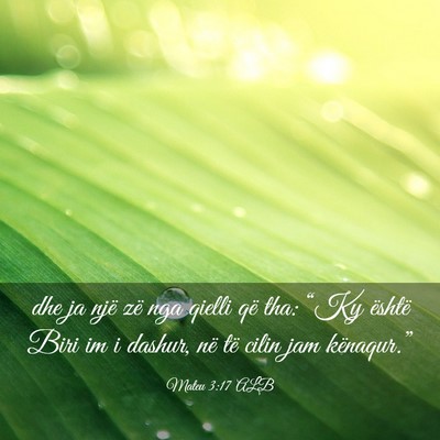 Picture 03 - Mateu 3:17 ALB - dhe ja një zë nga qielli që tha: “Ky është - Bible Verse Picture