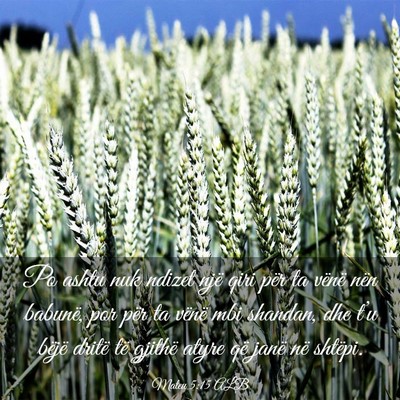 Picture 03 - Mateu 5:15 ALB - Po ashtu nuk ndizet një qiri për ta vënë nën - Bible Verse Picture