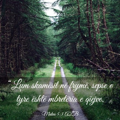 Picture 03 - Mateu 5:3 ALB - “Lum skamësit në frymë, sepse e tyre është - Bible Verse Picture