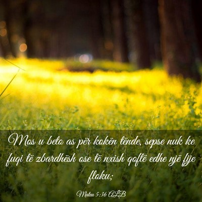 Picture 03 - Mateu 5:36 ALB - Mos u beto as për kokën tënde, sepse nuk ke - Bible Verse Picture
