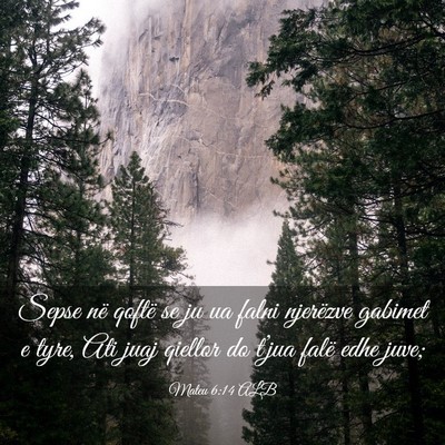 Picture 03 - Mateu 6:14 ALB - Sepse në qoftë se ju ua falni njerëzve gabimet - Bible Verse Picture