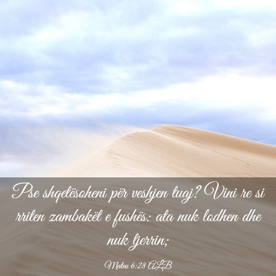Picture 03 - Mateu 6:28 ALB - Pse shqetësoheni për veshjen tuaj? Vini re si - Bible Verse Picture