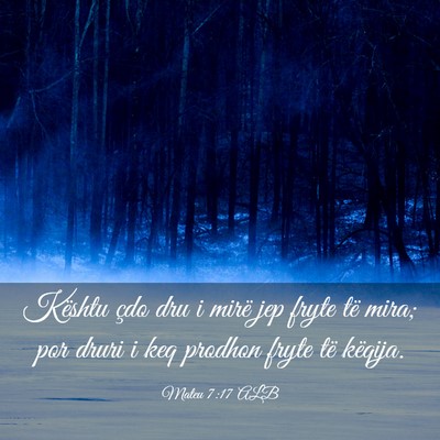 Picture 03 - Mateu 7:17 ALB - Kështu çdo dru i mirë jep fryte të mira; por - Bible Verse Picture