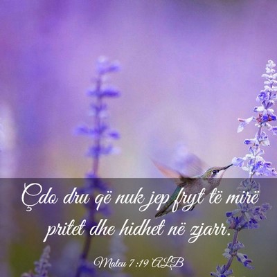 Picture 03 - Mateu 7:19 ALB - Çdo dru që nuk jep fryt të mirë pritet dhe - Bible Verse Picture