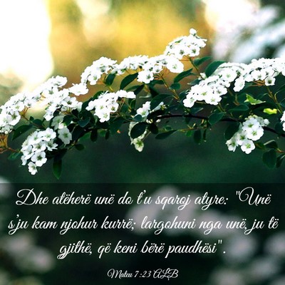 Picture 03 - Mateu 7:23 ALB - Dhe atëherë unë do t’u sqaroj atyre: 