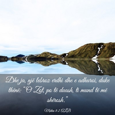 Picture 03 - Mateu 8:2 ALB - Dhe ja, një lebroz erdhi dhe e adhuroi, duke - Bible Verse Picture