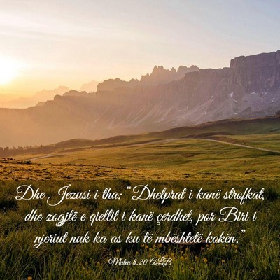 Picture 03 - Mateu 8:20 ALB - Dhe Jezusi i tha: “Dhelprat i kanë strofkat, - Bible Verse Picture