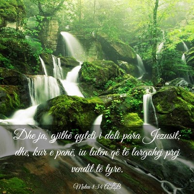 Picture 03 - Mateu 8:34 ALB - Dhe ja, gjithë qyteti i doli para Jezusit; dhe, - Bible Verse Picture