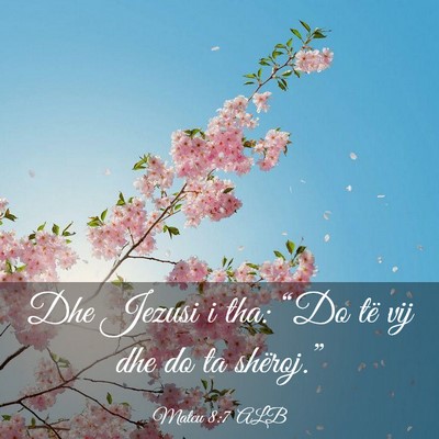 Picture 03 - Mateu 8:7 ALB - Dhe Jezusi i tha: “Do të vij dhe do ta - Bible Verse Picture