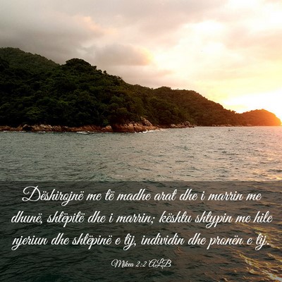 Picture 03 - Mikea 2:2 ALB - Dëshirojnë me të madhe arat dhe i marrin me - Bible Verse Picture