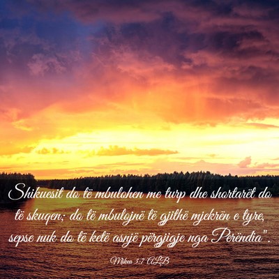 Picture 03 - Mikea 3:7 ALB - Shikuesit do të mbulohen me turp dhe shortarët - Bible Verse Picture