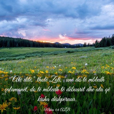 Picture 03 - Mikea 4:6 ALB - 