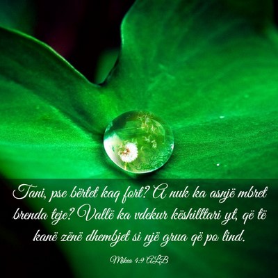 Picture 03 - Mikea 4:9 ALB - Tani, pse bërtet kaq fort? A nuk ka asnjë mbret - Bible Verse Picture