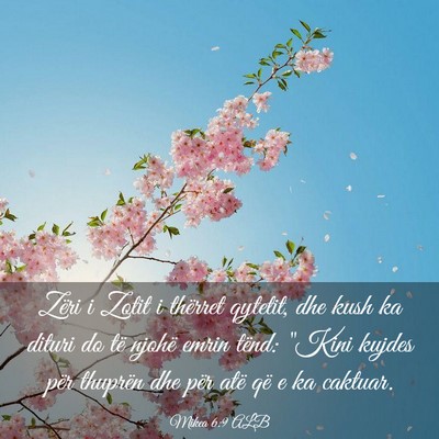 Picture 03 - Mikea 6:9 ALB - Zëri i Zotit i thërret qytetit, dhe kush ka - Bible Verse Picture