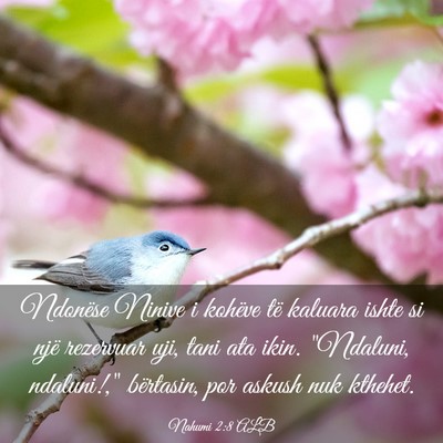 Picture 03 - Nahumi 2:8 ALB - Ndonëse Ninive i kohëve të kaluara ishte si - Bible Verse Picture