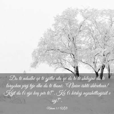 Picture 03 - Nahumi 3:7 ALB - Do të ndodhë që të gjithë ata që do të të - Bible Verse Picture