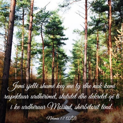 Picture 03 - Nehemia 1:7 ALB - Jemi sjellë shumë keq me ty dhe nuk kemi - Bible Verse Picture