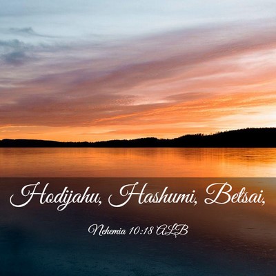 Picture 03 - Nehemia 10:18 ALB - Hodijahu, Hashumi, - Bible Verse Picture