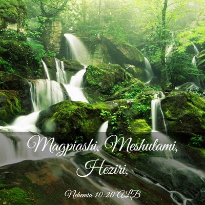 Picture 03 - Nehemia 10:20 ALB - Magpiashi, Meshulami, - Bible Verse Picture