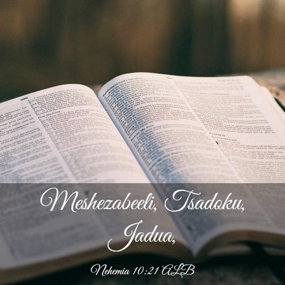 Picture 03 - Nehemia 10:21 ALB - Meshezabeeli, Tsadoku, - Bible Verse Picture