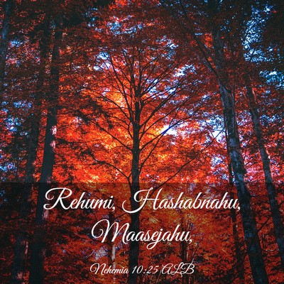 Picture 03 - Nehemia 10:25 ALB - Rehumi, Hashabnahu, - Bible Verse Picture