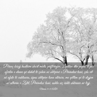 Picture 03 - Nehemia 10:34 ALB - Përveç kësaj hodhëm short midis - Bible Verse Picture