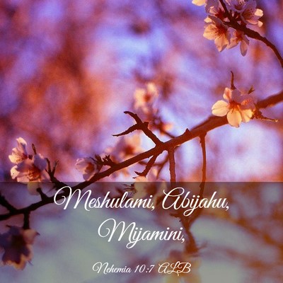 Picture 03 - Nehemia 10:7 ALB - Meshulami, Abijahu, - Bible Verse Picture